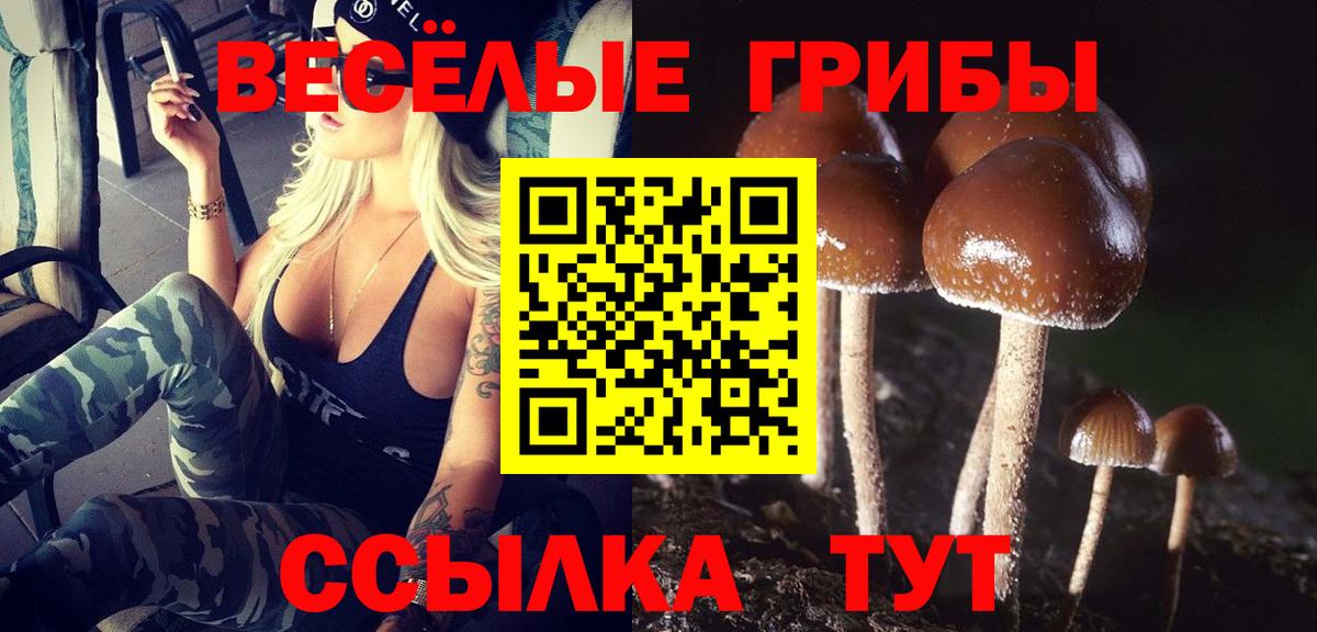 Галлюциногенные грибы GOLDEN TEACHER Костомукша